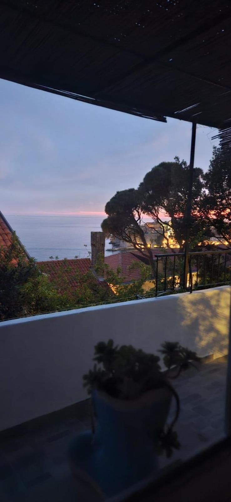 Tole Apartment
